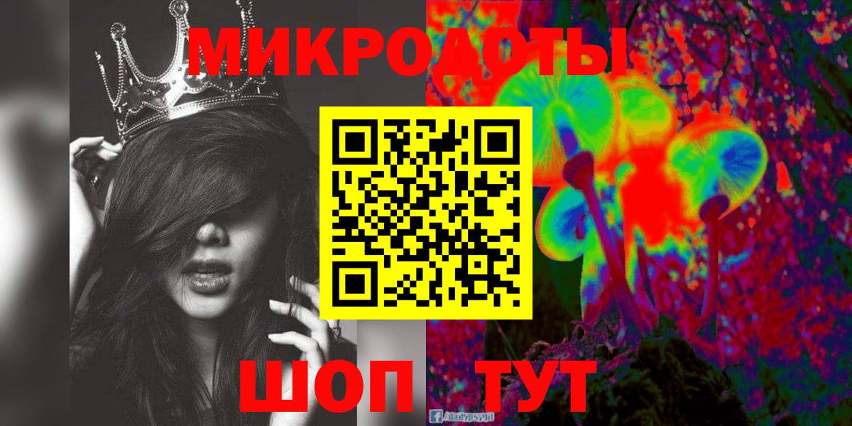 Псилоцибиновые грибы Psilocybe Балтийск