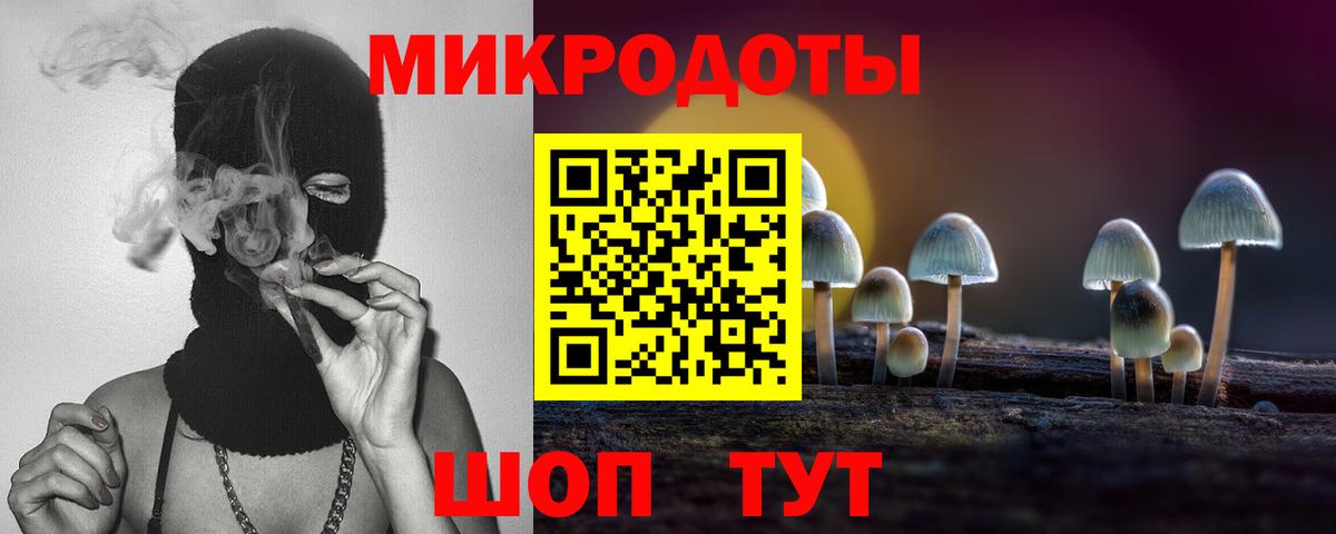 Балтийск  Псилоцибиновые грибы прущие грибы  наркошоп  Галлюциногенные грибы Psilocybine cubensis  Вход с VPN 